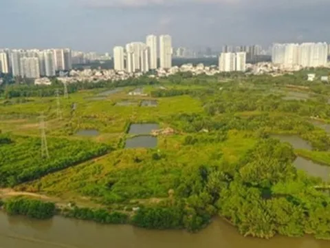 Quốc Cường Gia Lai muốn bán tài sản để trả món nợ liên quan bà Trương Mỹ Lan