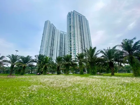 Tại sao phân khúc cao cấp chiếm chủ đạo thị trường bất động sản?