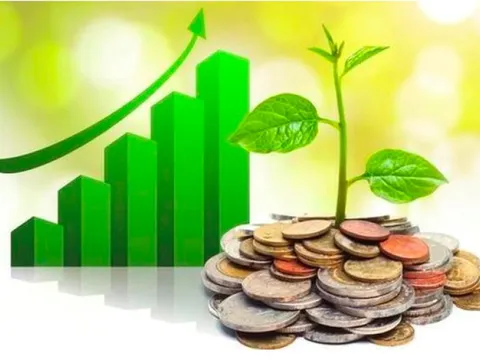 Lịch chốt quyền cổ tức 8/12– 12/12: "Vua bút bi" Thiên Long, SSI chuẩn bị lăn chốt