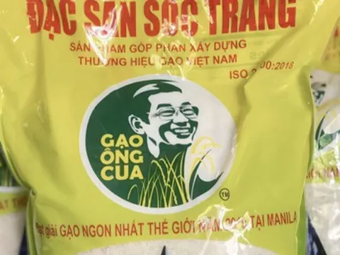 Giống lúa ST25 sản xuất bao nhiêu, bán hết bấy nhiêu