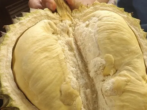 Giá sầu riêng trái vụ bất ngờ rớt mạnh