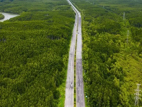 UBND TPHCM chấp thuận chủ trương đầu tư tuyến đường sắt tốc độ cao Bến Thành - Cần Giờ