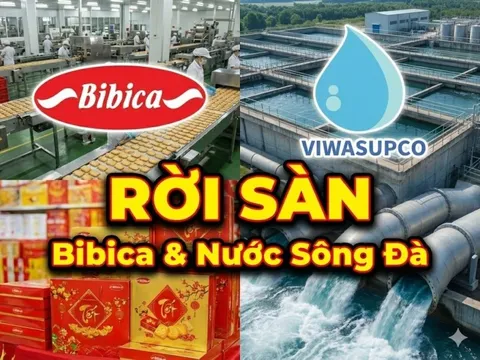 2 công ty con của GELEX và PAN Group chính thức bị huỷ tư cách đại chúng