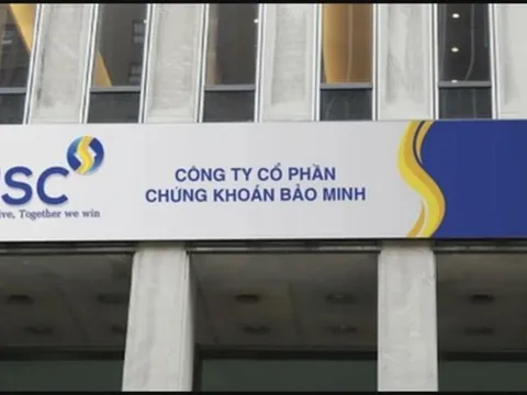 Danh tính 5 doanh nghiệp dự kiến mua hơn 48 triệu cổ phiếu “ế” của BMS