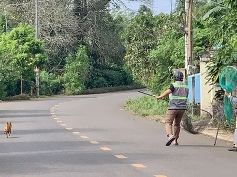 Chỉ trong 1 buổi sáng, tổ bắt chó thả rông của 1 xã ở TP HCM tóm tổng cộng 7 con
