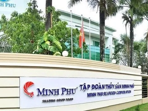 Thủy sản Minh Phú chốt ngày trả cổ tức bằng tiền