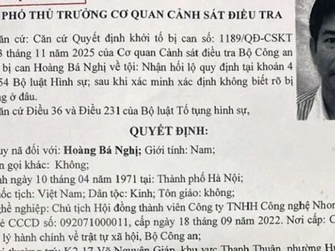 Bộ Công an truy nã đặc biệt Hoàng Bá Nghị, Chủ tịch Công ty NhoNho