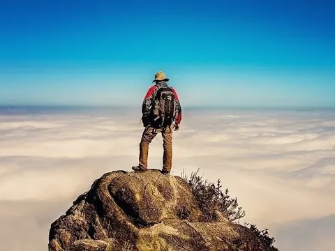 VN-Index giảm mạnh nhất châu Á, một “ông lớn” ngược dòng phá đỉnh lịch sử