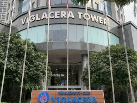 Viglacera miễn nhiệm một Phó Tổng Giám đốc