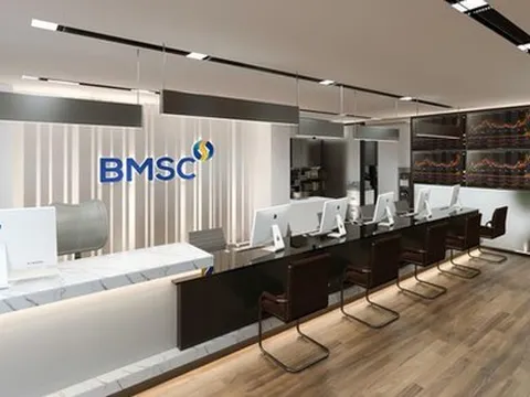 Chứng khoán Bảo Minh muốn tiếp tục triển khai niêm yết trên HoSE, bầu bổ sung nhân sự