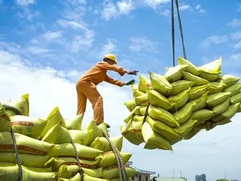 Việt Nam xuất khẩu 7,5 triệu tấn gạo