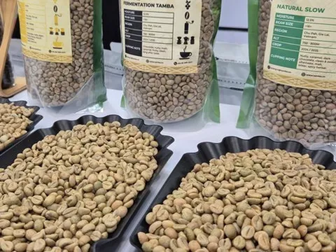 Giá cà phê hôm nay 16-12: Thủng mốc quan trọng, Đức chi hơn 1 tỉ USD nhập cà phê Việt