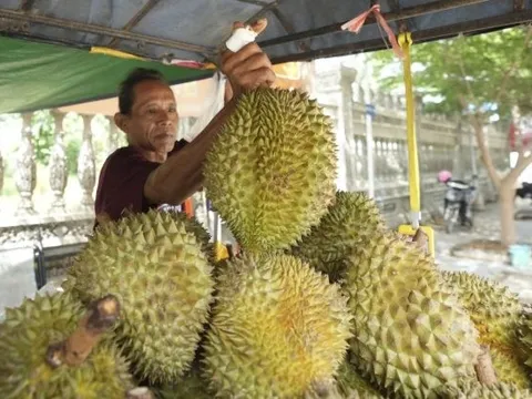 Quốc gia trồng 20.000 ha sầu riêng chính thức được xuất khẩu tươi vào Trung Quốc, cạnh tranh với Thái Lan, Việt Nam