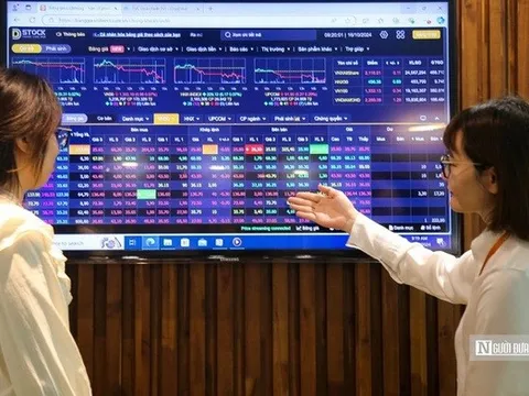 VN-Index hồi phục kỹ thuật, khuyến nghị thăm dò cổ phiếu chăn nuôi và dầu khí