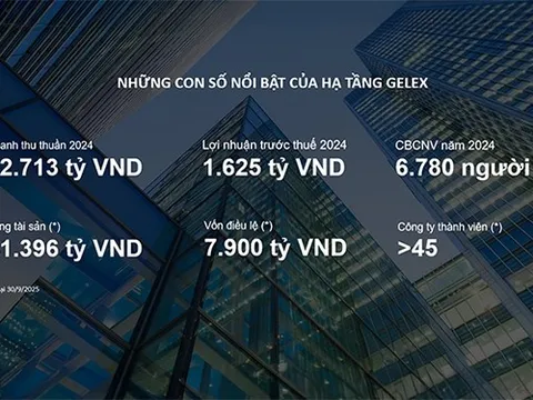Hạ tầng GELEX kinh doanh ra sao trước thềm IPO?