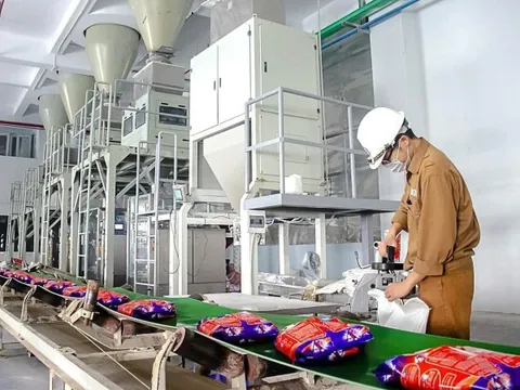 Dragon Capital không còn là cổ đông lớn tại Hóa chất Đức Giang trước khi cổ phiếu lao dốc