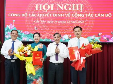 Điều động, bổ nhiệm nhân sự ở 5 tỉnh, thành