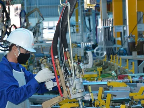 Hơn 300.000 doanh nghiệp thành lập mới và quay lại hoạt động trong năm 2025