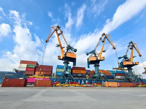 Viconship muốn mua thêm 14 triệu cổ phiếu HAH, tăng sở hữu trên 21%