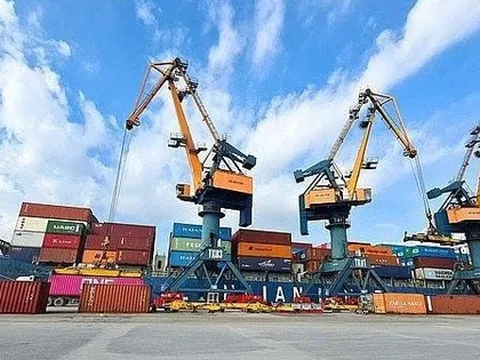 Nhóm Viconship muốn nâng mạnh tỷ lệ sở hữu tại Xếp dỡ Hải An