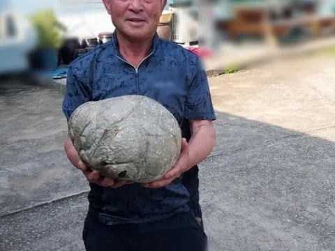 Ông lão nông dân nhặt được kho báu tiền tỷ khi đi cắt cỏ