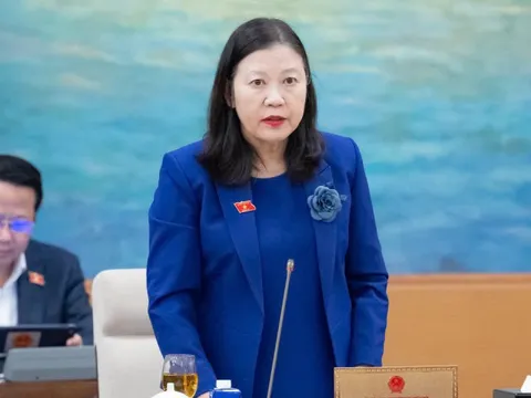 Nhiều người bị lừa đảo, bỗng dưng thành giám đốc công ty 'ma'