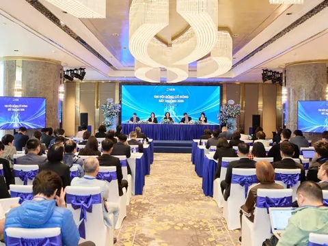 ĐHCĐ bất thường NCB: Phát hành riêng lẻ 1 tỷ cổ phiếu tăng vốn, bầu HĐQT nhiệm kỳ mới