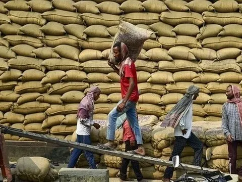 Việt Nam, Thái Lan chú ý: Quốc gia sản xuất gạo lớn thứ 3 thế giới tuyên bố quay lại nhập khẩu từ Ấn Độ, giá rẻ chưa từng thấy