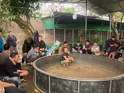 Cảnh sát đồng loạt đột kích khu vực sau nhà của Hồ Anh Quyết, bắt 28 người