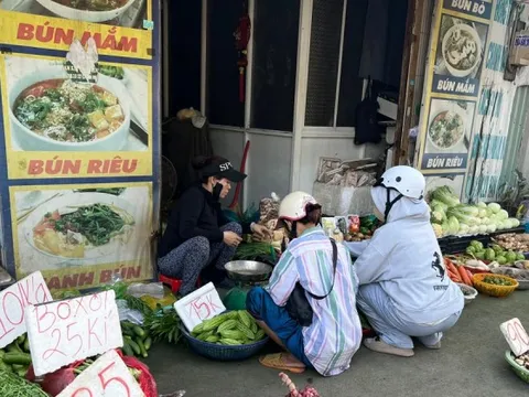 Hàng loạt rau củ bất ngờ chỉ còn 10.000 đồng/kg