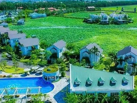 Một cổ đông cá nhân rời ghế cổ đông lớn tại TIG