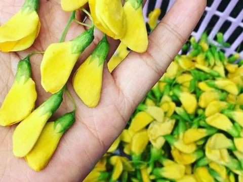 Đặc sản miền Tây: Xưa mọc dại bờ ao, nay thành "lộc trời", hơn 200.000/kg vẫn đầy người mua