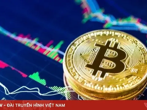 Tiền mã hóa mất 1.000 tỷ USD vốn hóa