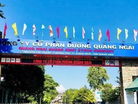 Đường Quảng Ngãi sắp chi gần 368 tỷ đồng tạm ứng cổ tức đợt 2/2025