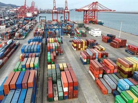 Tin mới nhất về gần 500 container chè Việt Nam ách tắc tại Pakistan