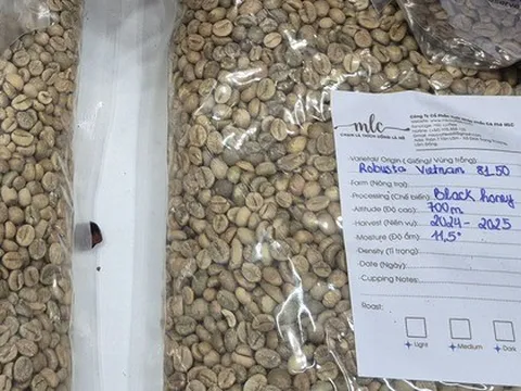 Giá cà phê hôm nay 2-1: Mốc 5.000 USD/tấn rất khó trở lại