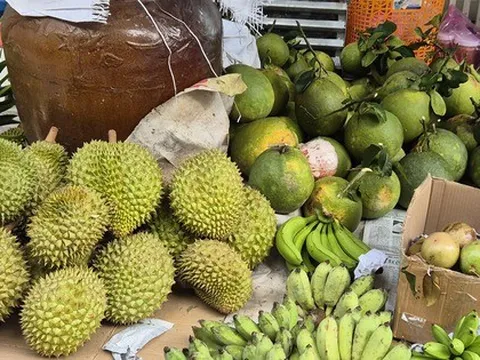 Giá sầu riêng Ri 6 rẻ bất ngờ