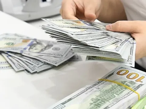 Dự báo mới nhất về giá USD tại Việt Nam năm 2026