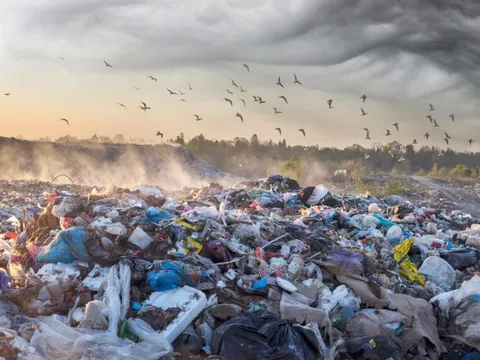 Nhà máy gần 2.000 tỷ đồng của Cà Mau đón cơ hội gia nhập thị trường chục tỷ USD toàn cầu