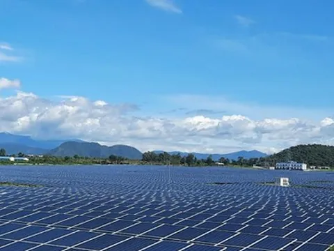 Hai thành viên mảng năng lượng của BB Group bị xử phạt vì 'ém' thông tin