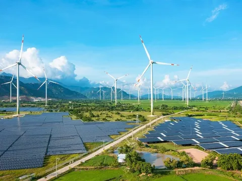 Trung Nam báo tin vui