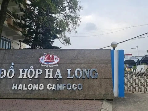 Khởi tố, bắt tạm giam 9 đối tượng liên quan vụ 120 tấn thịt lợn nhiễm bệnh "nằm kho" CTCP Đồ hộp Hạ Long