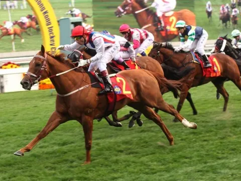 Thị phần môi giới của SSI trên HoSE lên cao nhất 22 quý