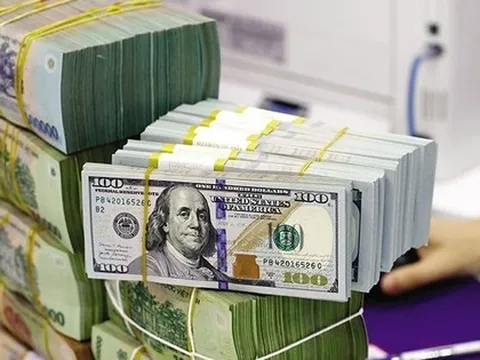 Cập nhật ngày 9/1: Lãi suất qua đêm VND xuống thấp hơn USD, NHNN giảm hỗ trợ thanh khoản