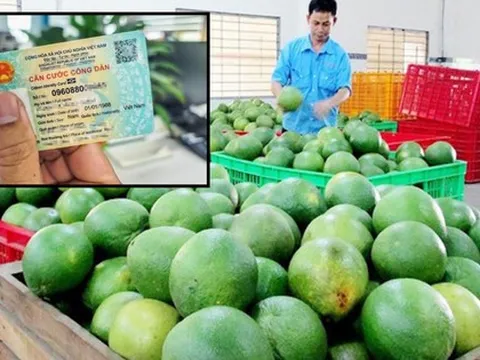 Cục Thuế nói rõ việc yêu cầu người bán hàng phải cung cấp CCCD để kê khai