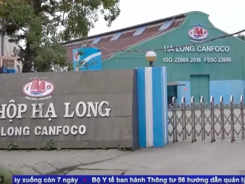 Trước vụ án thịt nhiễm bệnh tại Đồ hộp Hạ Long: Cổ đông ngoại bán sạch cổ phiếu, Chủ tịch và Kế toán trưởng đồng loạt từ nhiệm