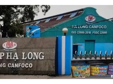 NÓI THẲNG: Patê 'bẩn' của Hạ Long Canfoco và những người không thể vô can