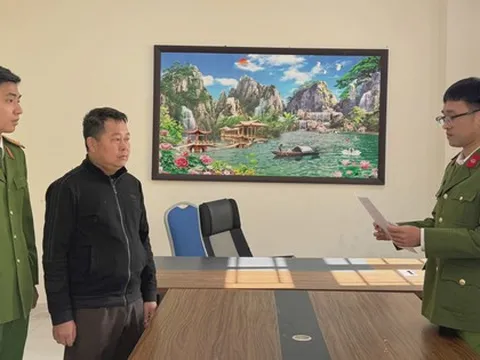 Một giám đốc bị khởi tố