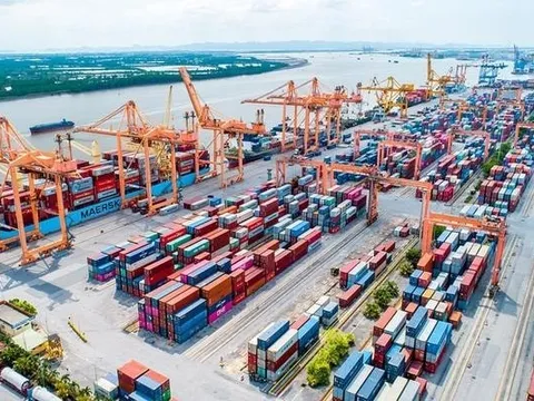 Cổ phiếu "gã khổng lồ" ngành logistics "tím lịm" sau khi đánh tiếng thoái vốn Nhà nước, vốn hóa chạm ngưỡng 3 tỷ USD