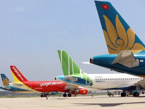 Hãng bay “xanh” của Việt Nam từ thua lỗ đến lãi lập đỉnh lịch sử